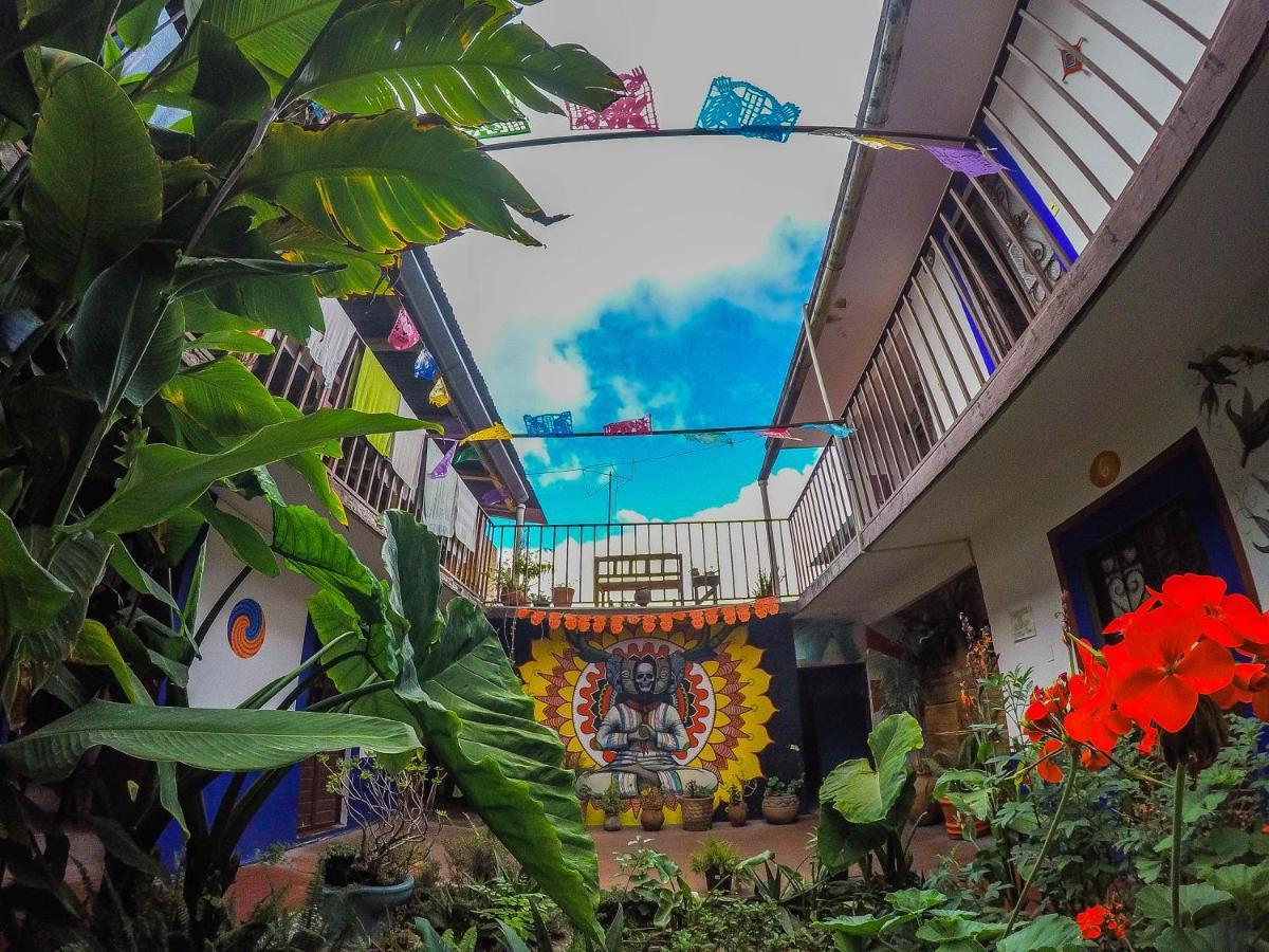 Hostel El Nagual San Cristobal de las Casas Bagian luar foto