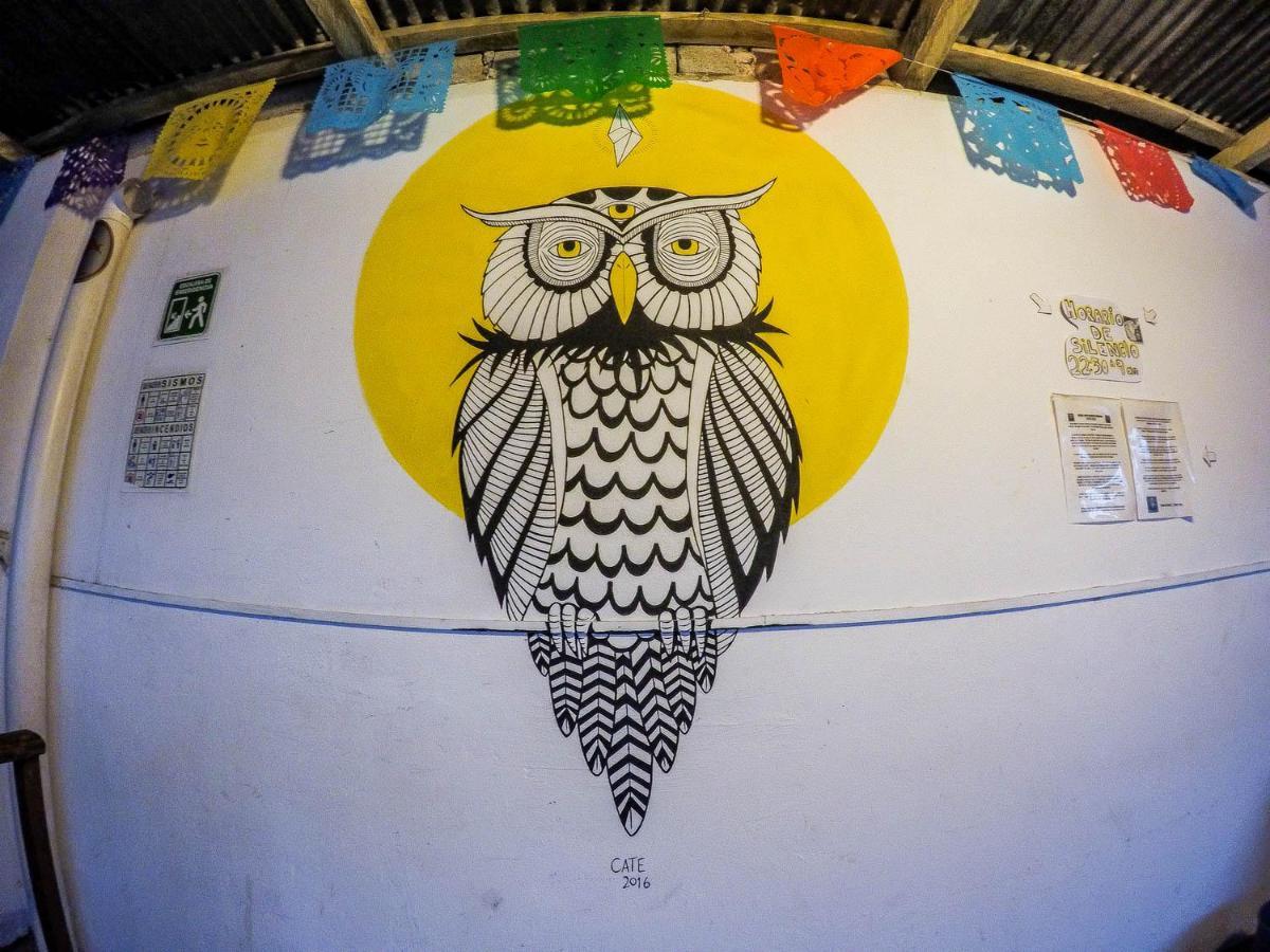 Hostel El Nagual San Cristobal de las Casas Bagian luar foto
